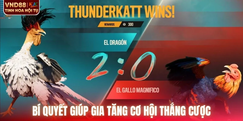 Bí quyết giúp gia tăng cơ hội thắng cược