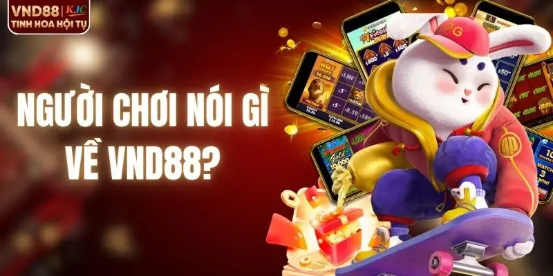 Người Chơi Nói Gì Về VND88? Tổng Hợp Đánh Giá Chi Tiết