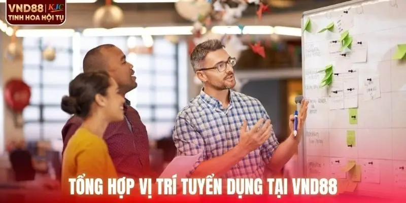 Tổng hợp vị trí tuyển dụng VND88 mới nhất