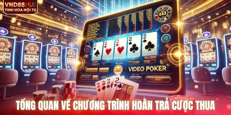 Tổng quan về chương trình hoàn trả cược thua